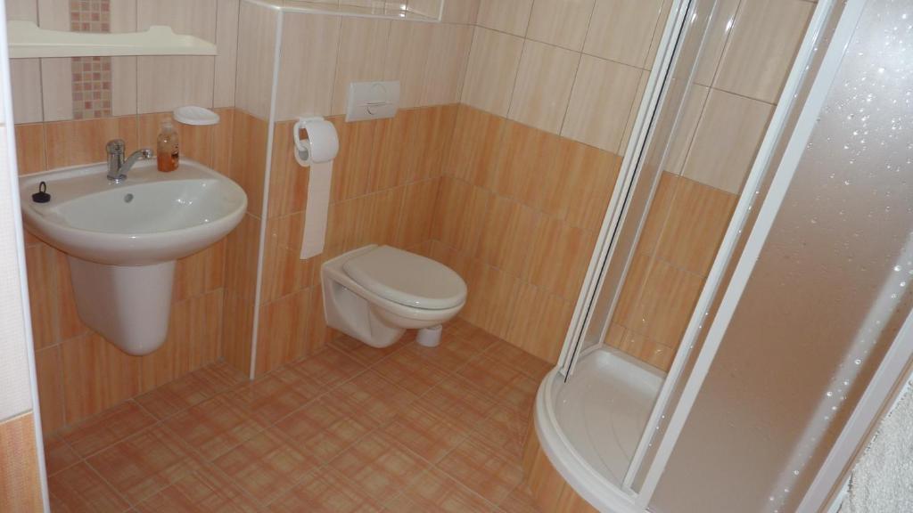 Penzion Slavka Tremosnice Room photo